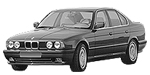 BMW E34 C203E Fault Code