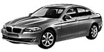 BMW F10 C203E Fault Code